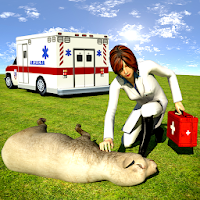 Animals Rescue Mission : Lady Doctor Games