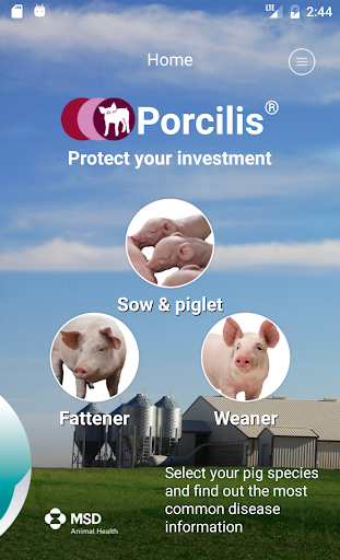 Android application Porcilis®Pig screenshort