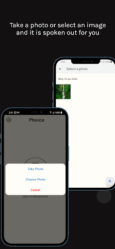 Phoice Screen 2
