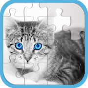 Cat Jigsaw Puzzle Games
