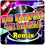 Cover Image of Tải xuống DJ Koplo Te Molla Remix Full Bass 4.3 APK
