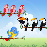 Bird Sort Puzzle:Bird Sort 3D icon