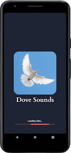 Dove Sounds