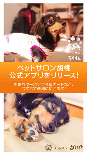 Android application ペットサロン胡桃　公式アプリ screenshort