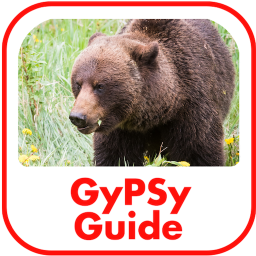 Canadian Rockies GyPSy Guide