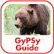 Canadian Rockies GyPSy Guide