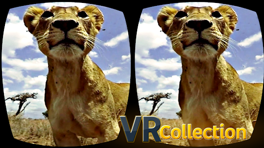 Packung mit VR-Videos
