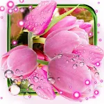 Cover Image of Download Tulips Spring  APK