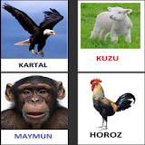 çocuk oyunları Türkçe hayvan icon