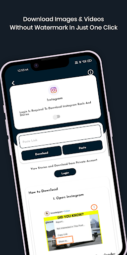 Social Media Video Downloader Screen 2