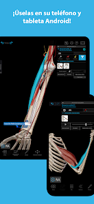 Screenshot 5 Músculos & Kinesiología android