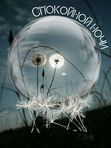 Android application Доброй Ночи Сладких Снов screenshort