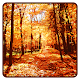 Autumn Wallpaper Download on Windows