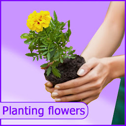 图标图片“flowers : plant identifier”