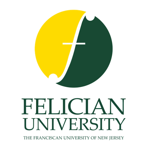 Falcon Connection logo