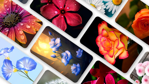 Android application Flower Wallpaper 2024 screenshort