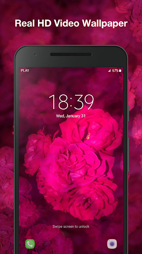Rose Live Wallpaper Screen 3