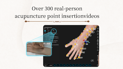 Acupuncture Master screenshot 21