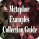 Metaphor Examples Collection - Androidアプリ