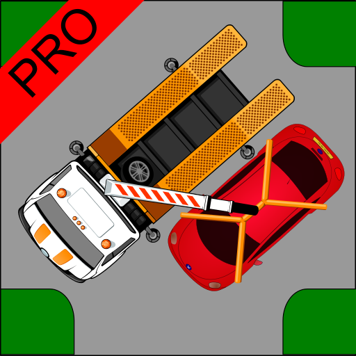 Driver Test Parking Pro