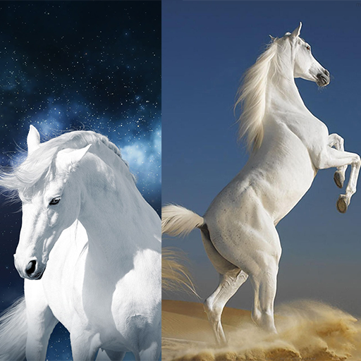 Horse Wallpapers 4K logo