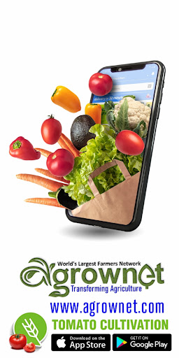 Android application Tomato Cultivation screenshort