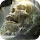 Ancient Skull Video Wallpapers