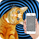 Hypnosis: training cat joke icon