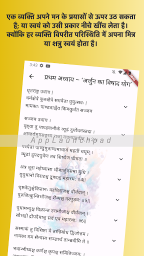 Bhagwat gita: Hindi & English Screen 2
