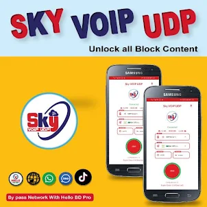 Sky VOIP UDP