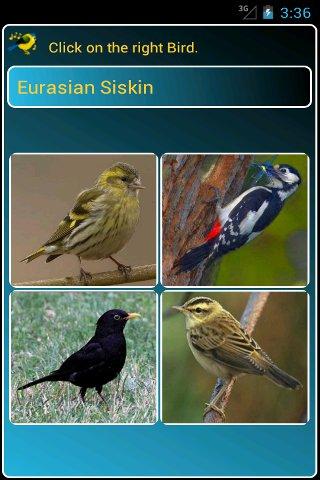 Bird Guide + Quiz Game screenshot 4