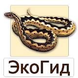 EcoGuide: Russian Reptiles icon