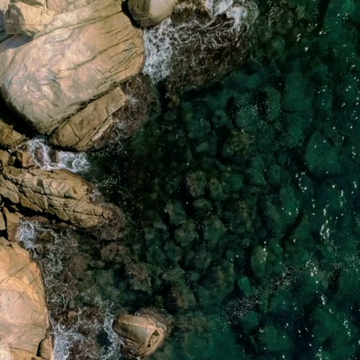 Beach Paradise Live Wallpaper