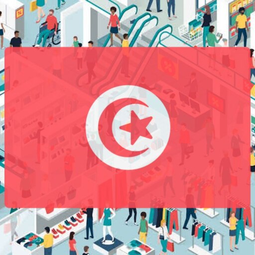 Tunisia Shopping Hub logo