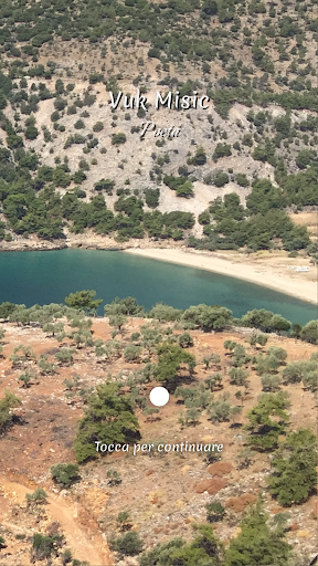 Android application Vuk Misic screenshort
