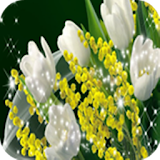 3D Flower Backround Wallpapers icon