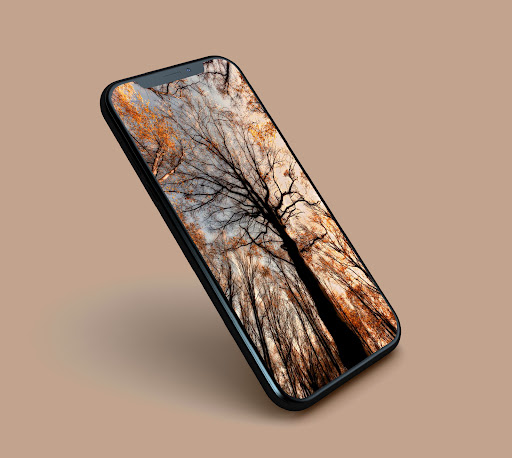 Fall Aesthetic Wallpapers Screen 2