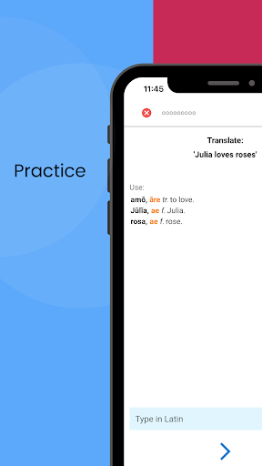 Cattus: Learn Latin Screen 2