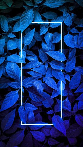 Android application Blue wallpapers screenshort
