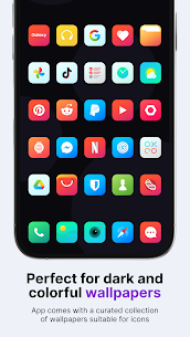 Nova Icon Pack APK 2