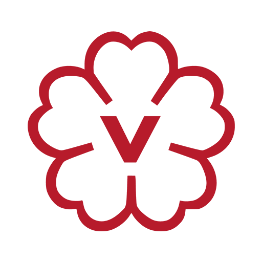 Visa Nippon logo