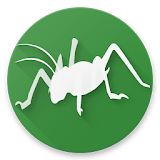 Bugs of New Zealand Free icon