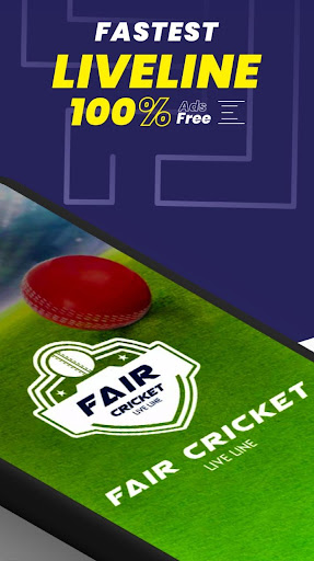 Fair Cricket Line : Live Score Screen 2