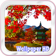 Beautiful Korean Wallpaper HD 2.1 Icon