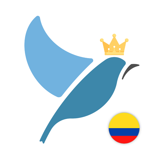 Latin American Spanish Tests logo