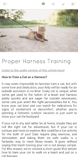 Cat Training and Recipes Screen 3