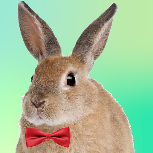 Adopt A Rabbit : Virtual Pet logo