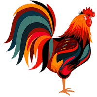 Aplikasi Panduan Ternak Ayam P