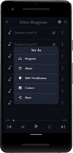 Parakeet Sounds Screen 3
