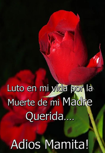 Mensajes de Condolencias Screen 2